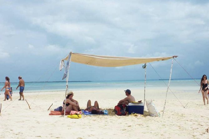 Private Full-Day Cruise on Sandbank and Kwale Island - Pickup and Drop-off