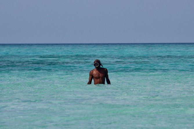 Private Full-Day Cruise on Sandbank and Kwale Island - Guest Reviews