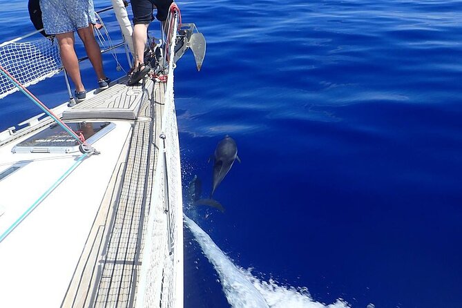Private Full Day Cruise Tour in Naxos Town - Dive Into the Crystal-Clear Waters