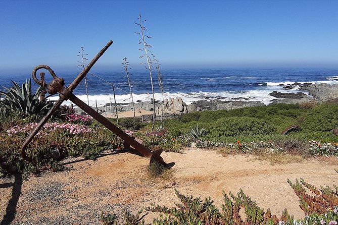 Private Full-Day Cultural Tour: Isla Negra, Pomaire and Undurraga Vineyard - Accessibility and Participation