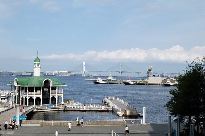 Private Full Day Customizable Guided Tour in Yokohama - Accessibility and Health Considerations