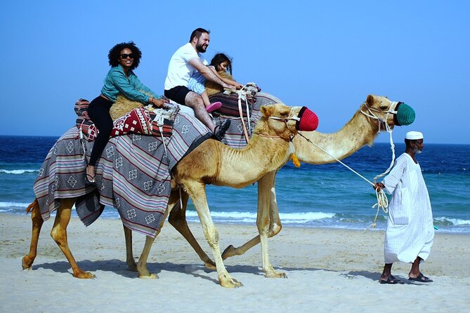 Private Full Day Desert Safari - Customer Reviews and Ratings