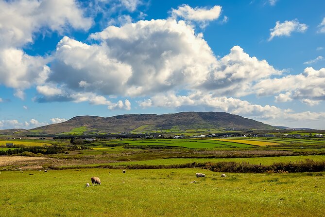 Private Full-Day Dingle Peninsula Slea Head Drive Tour - Additional Stops and Experiences