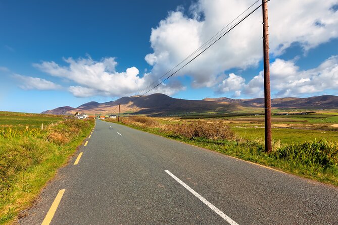 Private Full-Day Dingle Peninsula Slea Head Drive Tour - Tailored Itinerary and Flexibility