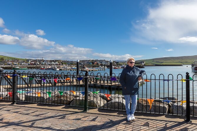 Private Full-Day Dingle Peninsula Slea Head Drive Tour - Traveler Reviews and Ratings