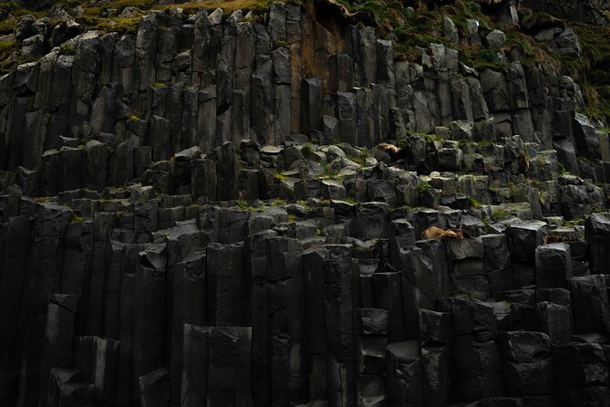 Private Full-Day Discovery of the Icelandic South Coast - Experiencing Icelandic Nature