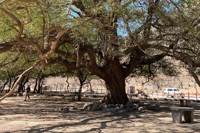 Private Full-Day East Oman Tour From Salalah With Lunch - What to Expect