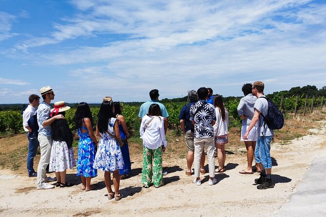 Private Full Day Evora & Alentejo Wine Tour From Lisbon - Traveler Reviews and Experiences