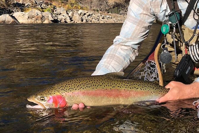 Private Full Day Fly Fishing For Beginners and Experienced Anglers - Suitability and Minimum Age