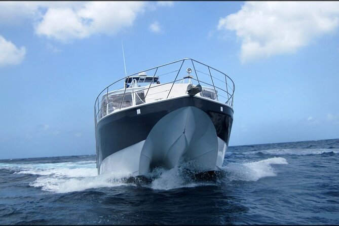 Private Full Day Fun Charter Aboard MV Sea Wolf - Booking and Confirmation
