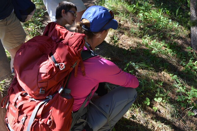 Private Full-Day Grand Canyon of Yellowstone Hiking Adventure (Up to 8 People) - Safety Considerations