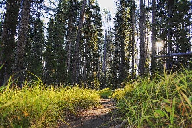 Private Full-Day Grand Canyon of Yellowstone Hiking Adventure (Up to 8 People) - Private Tour Experience