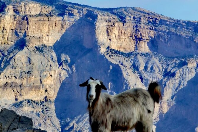 Private Full Day Guided Balcony Walk Hiking to Jebel Shams - Health and Accessibility Considerations