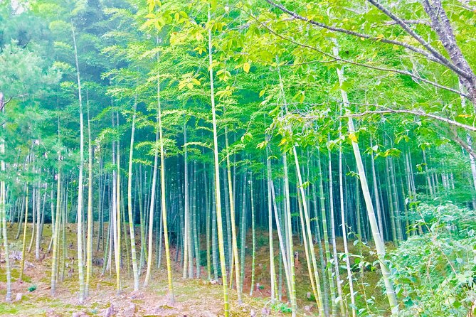 Private Full-Day Guided Tour in Kyoto, Arashiyama - Cancellation and Payment
