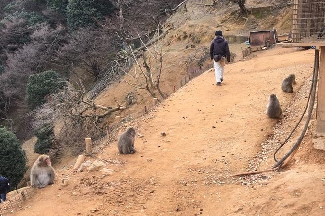 Private Full-Day Guided Tour in Kyoto, Arashiyama - Exploring Arashiyama