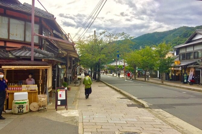 Private Full-Day Guided Tour in Kyoto, Arashiyama - Experiencing the Monkey Park