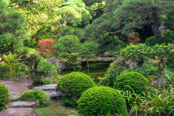 Private Full Day Guided Tour in Tokyo - Accessibility