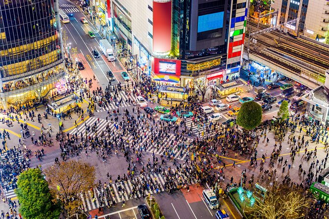 Private Full Day Guided Tour in Tokyo - Customizing Your Tour