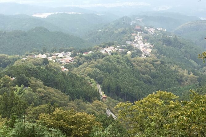 Private Full-Day Guided Tour in Yoshino, Japanese Mountain - Transportation and Accessibility