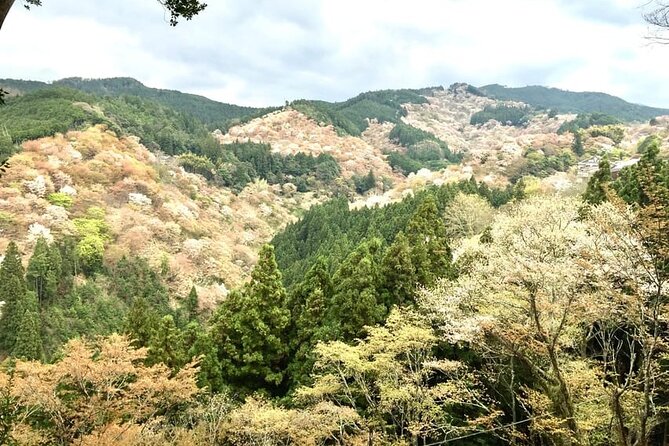Private Full-Day Guided Tour in Yoshino, Japanese Mountain - Health and Fitness Requirements