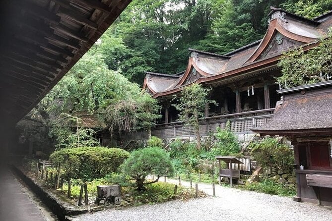 Private Full-Day Guided Tour in Yoshino, Japanese Mountain - Booking Information