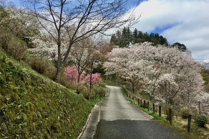 Private Full-Day Guided Tour in Yoshino, Japanese Mountain - Exploring Yoshinoyama