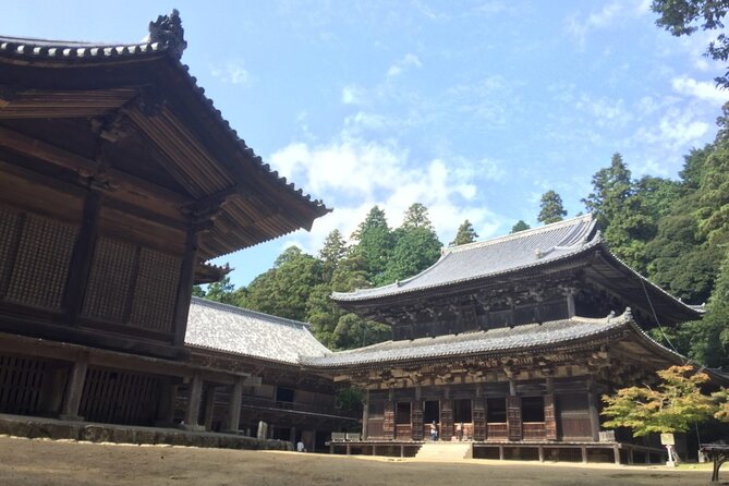 Private Full-Day Guided Tour of Himeji Castle - Preparing for the Tour