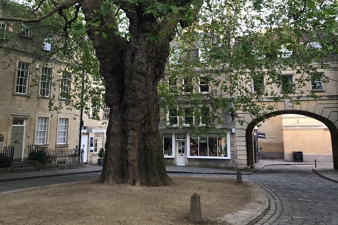 Private Full Day Guided Tour to Bath and Stonehenge - Traveler Reviews