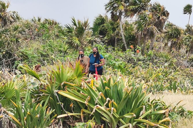 Private Full-Day Guided Tulum Coba and Cenote Tour With Lunch - Pickup and Transportation