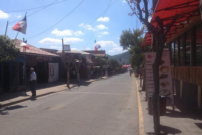 Private Full-Day Guided Valparaiso and Vina Del Mar Tour From Santiago - Tour Overview