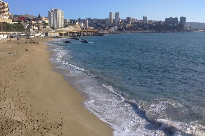 Private Full-Day Guided Valparaiso and Vina Del Mar Tour From Santiago - Tour Inclusions