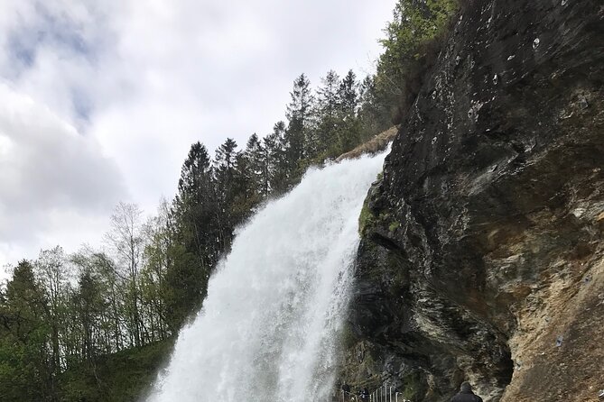Private Full Day Hardangerfjord Tour From Bergen - Visitor Testimonials