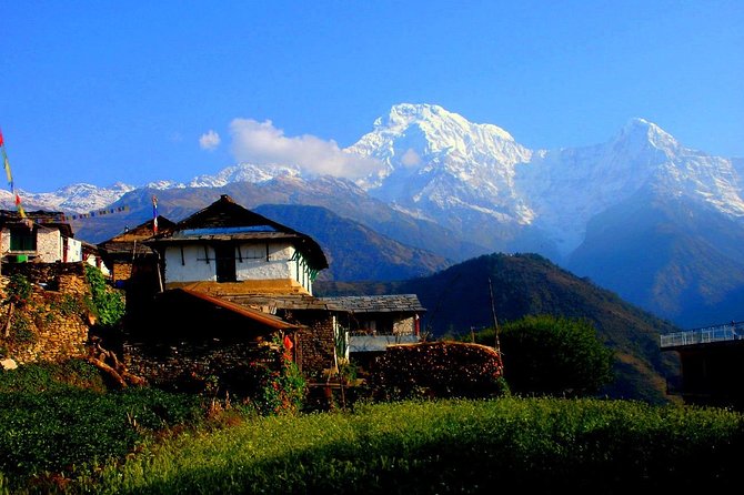 Private Full-Day Hike in the Annapurna Foothills in Pokhara - Inclusions and Exclusions