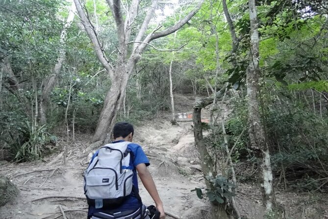 Private Full-Day Hike Tour Telegraph Stone and Beaches – Transport Included - Tour Overview
