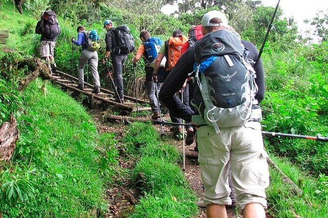 Private Full Day Hiking Experience to Marangu Route - What to Expect
