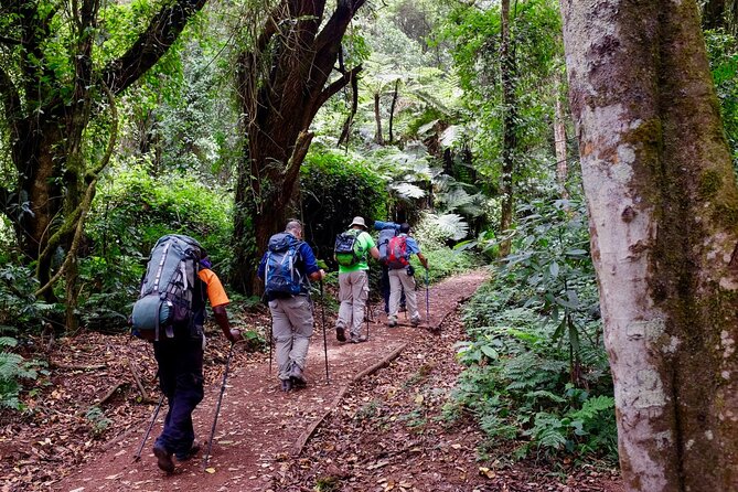 Private Full Day Hiking Experience to Marangu Route - Suggested Gear