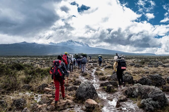 Private Full Day Hiking Experience to Marangu Route - Safety Considerations