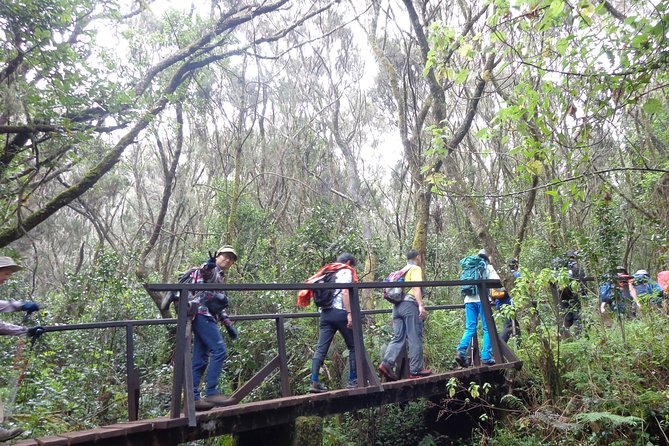 Private Full-Day Hiking Tour in Mount Kilimanjaro - Key Points