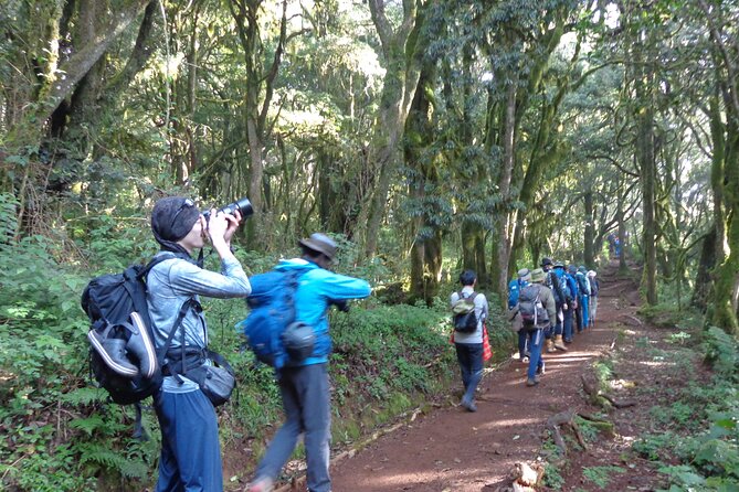 Private Full-Day Hiking Tour in Mount Kilimanjaro - Meeting and Pickup