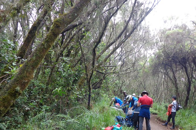 Private Full-Day Hiking Tour in Mount Kilimanjaro - Getting There and Back