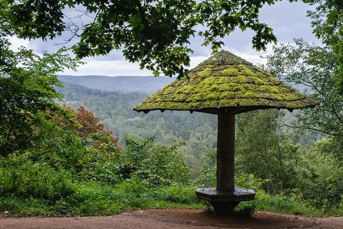 Private Full-Day Hiking Tour in Sigulda and Gauja National Park - Tour Experience