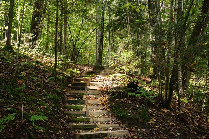 Private Full-Day Hiking Tour in Sigulda and Gauja National Park - Exploring Sigulda