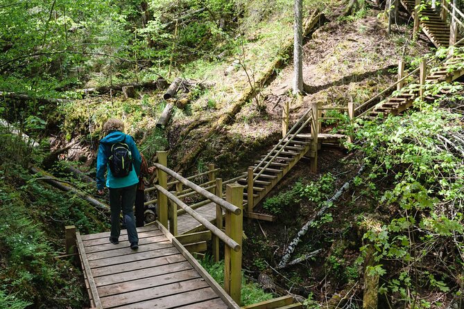 Private Full-Day Hiking Tour in Sigulda and Gauja National Park - Revitalizing Nature Encounters