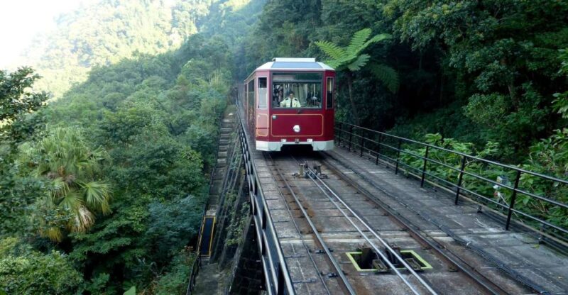 Private Full-Day Hong Kong Island Top Attraction Tour - Key Points