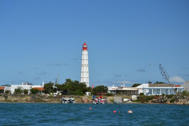 Private Full Day Islands Boat Tour From Faro - Key Points