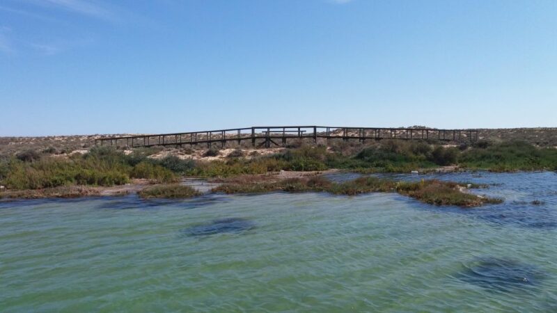 Private Full Day Islands Boat Tour From Faro - Inclusions