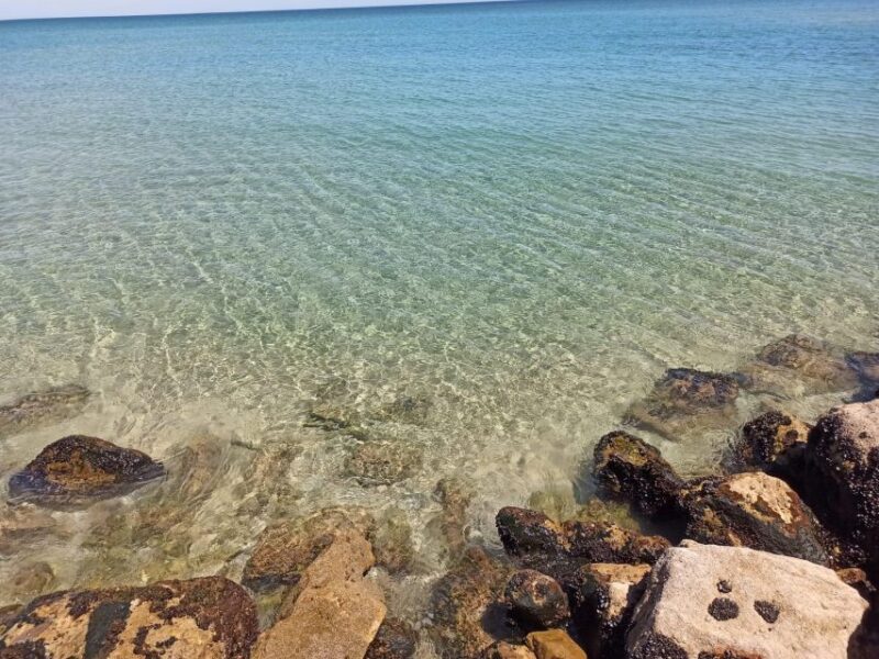 Private Full Day Islands Boat Tour From Faro - Important Information