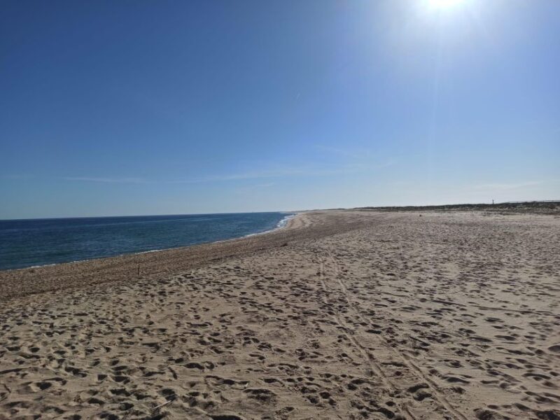 Private Full Day Islands Boat Tour From Faro - Island Experiences