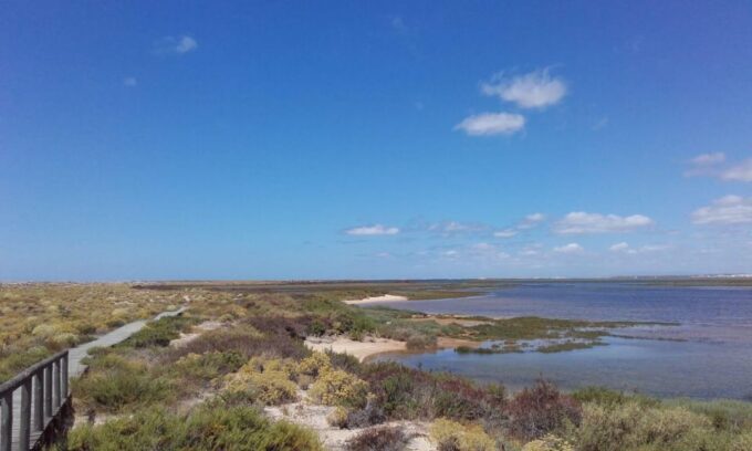 Private Full Day Islands Boat Tour From Faro - Local Guide and Knowledge