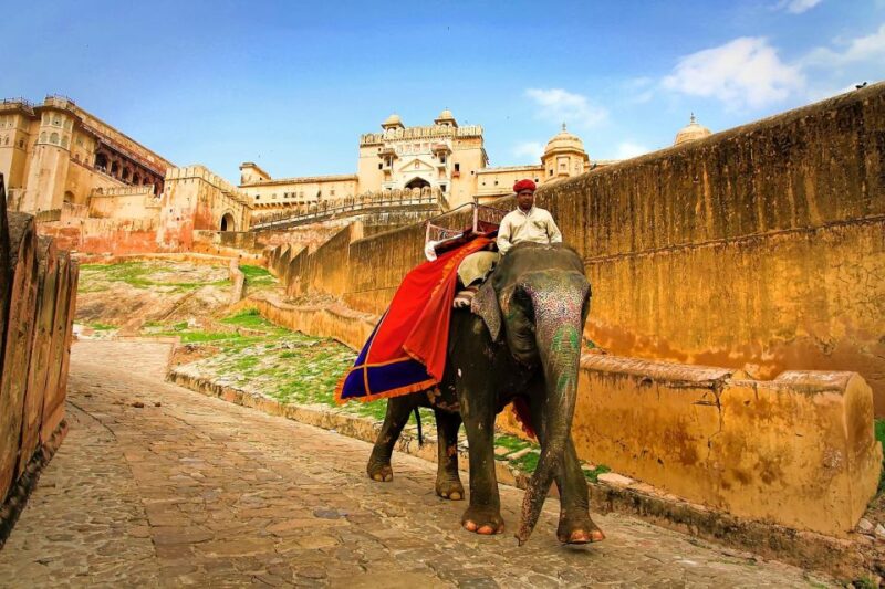 Private: Full-Day Jaipur City Sightseeing Tour By Tuk-Tuk - Key Points